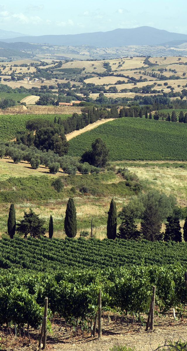 Scansano, Magliano e Saturnia